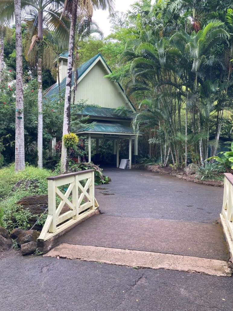 Kawikajoeslimousinehawaii  Private Vip Daytime Hawaiian Authentic Tropical Entrance Palm Trees E