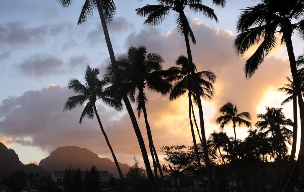 Silhouetted palm trees against a colorful sunset sky with clouds. Royalsonestaluau Drums Dances Of Polynesia At The Royal S Palm Trees Sunset Clouds